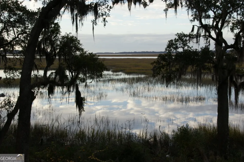 LOT 33 Coopers Point DR Townsend, GA 31331