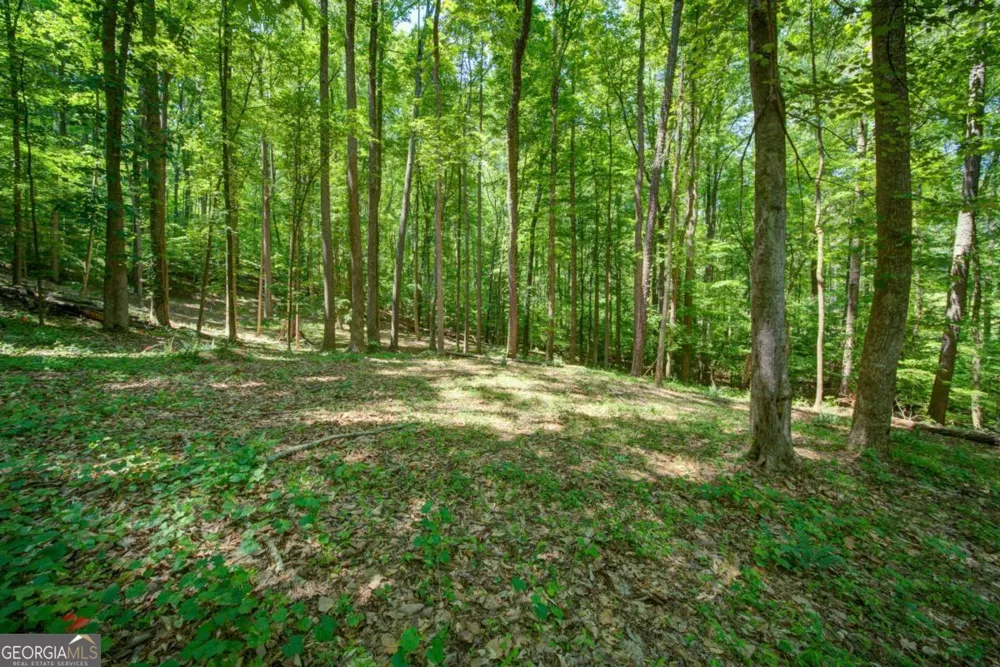 1981 Mountain RD Alpharetta, GA 30004
