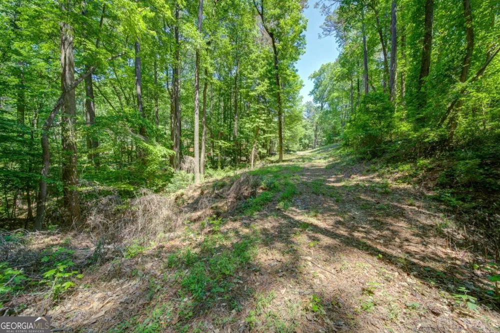 1981 Mountain RD Alpharetta, GA 30004