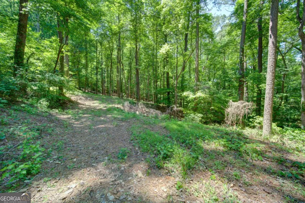 1981 Mountain RD Alpharetta, GA 30004