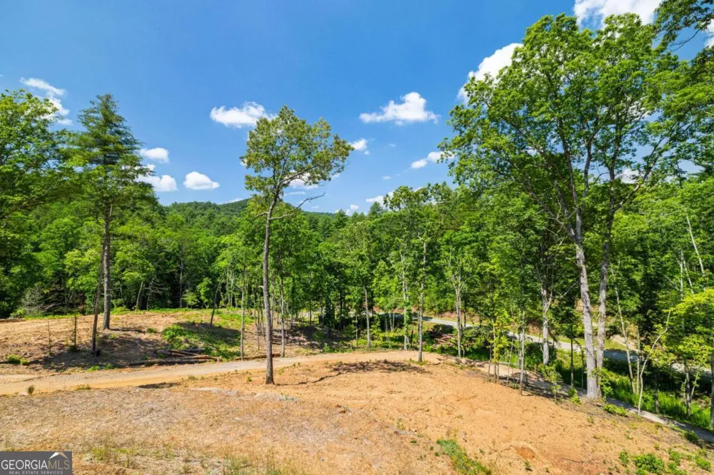 265 Park Glen LN Mineral Bluff, GA 30559