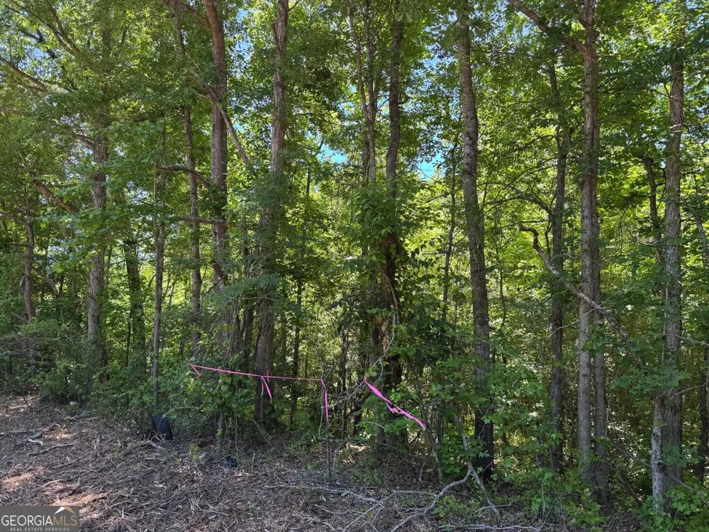 0 Whitesville RD LaGrange, GA 30240