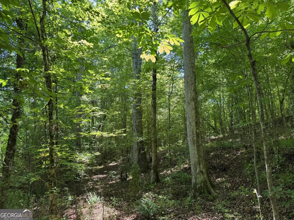 0 Whitesville RD LaGrange, GA 30240