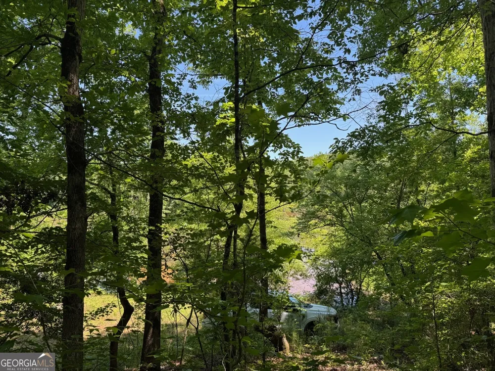 0 Whitesville RD LaGrange, GA 30240