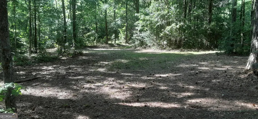 0 Delhi RD Tignall, GA 30668