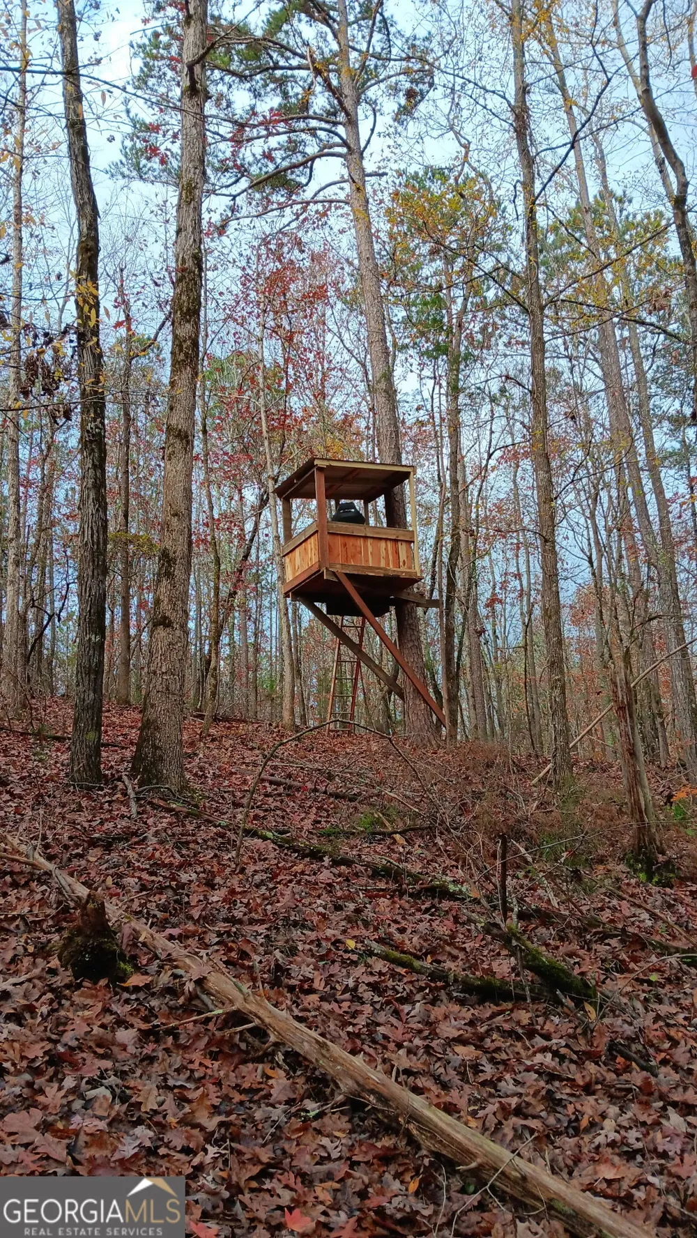 0 Delhi RD Tignall, GA 30668