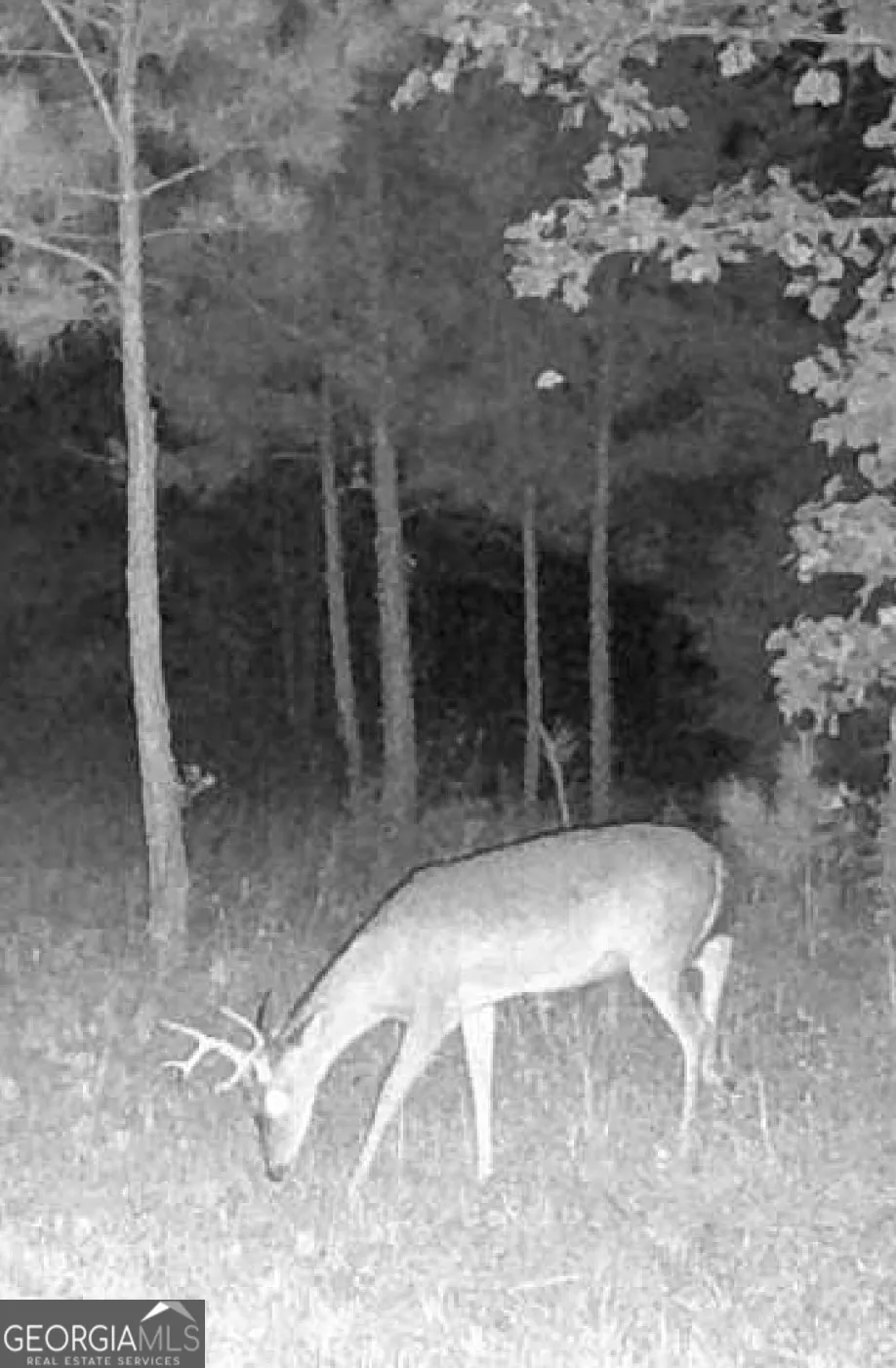 0 Delhi RD Tignall, GA 30668