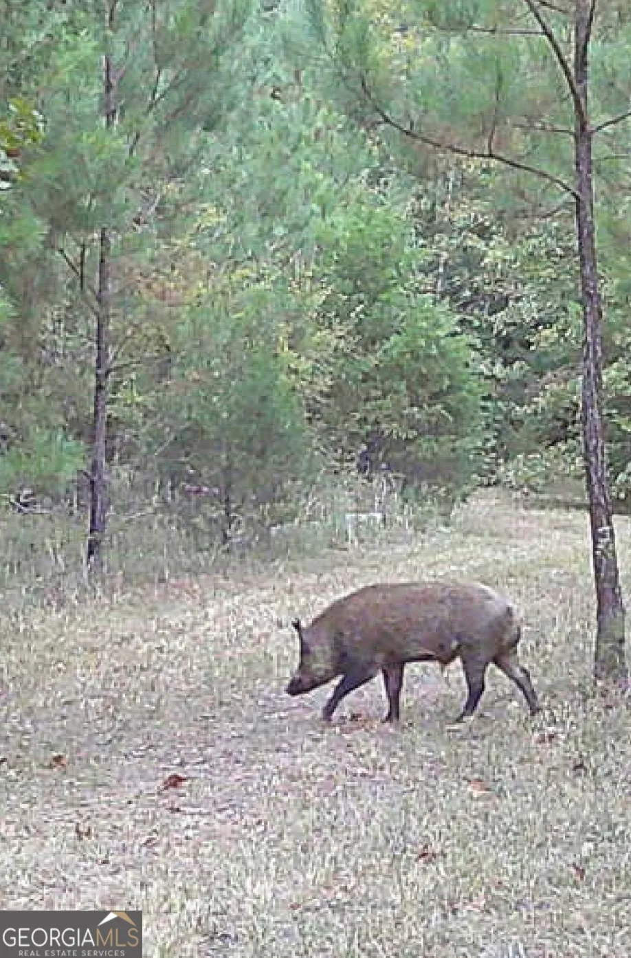 0 Delhi RD Tignall, GA 30668