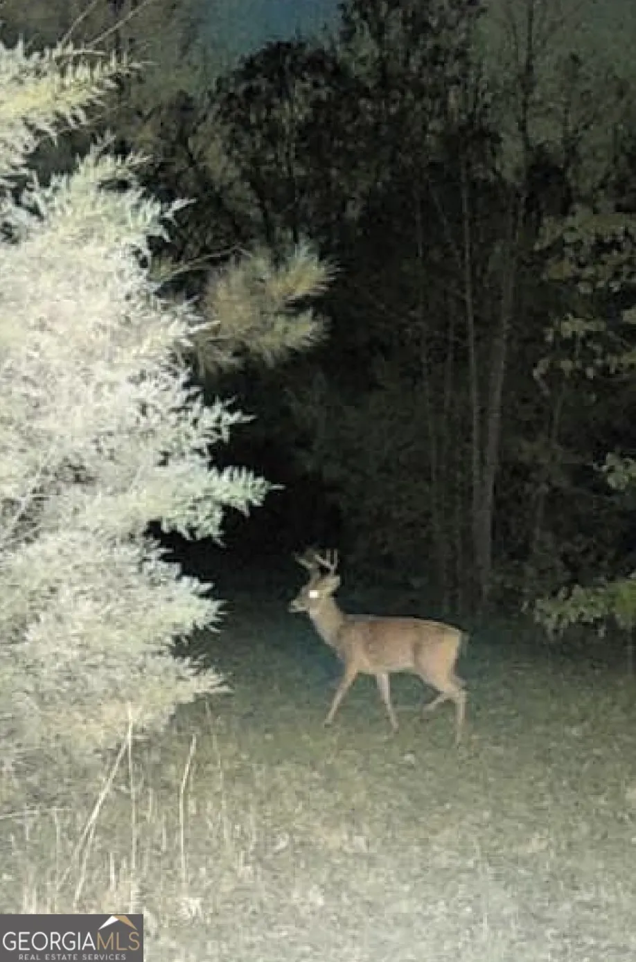 0 Delhi RD Tignall, GA 30668