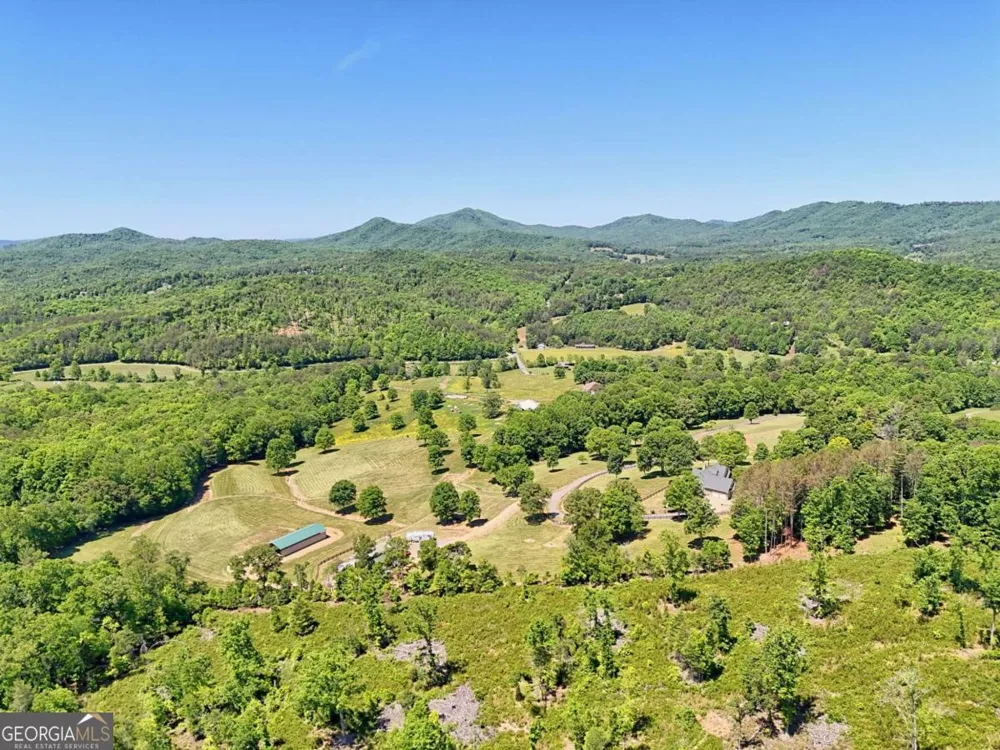 1193 Pine Log RD Warne, NC 28909