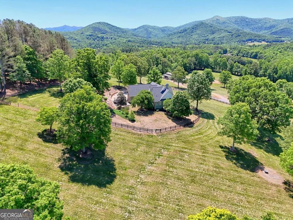 1193 Pine Log RD Warne, NC 28909