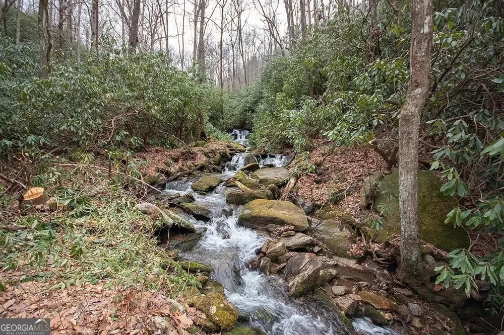 575 Carolina Springs LN Franklin, NC 28734
