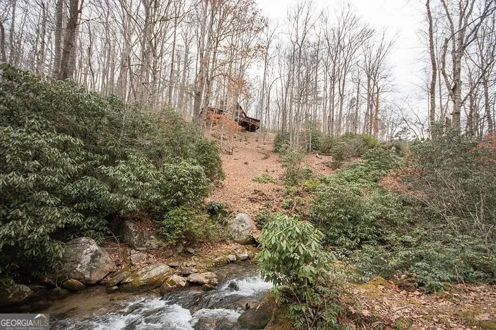 575 Carolina Springs LN Franklin, NC 28734