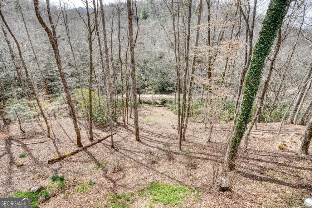 575 Carolina Springs LN Franklin, NC 28734