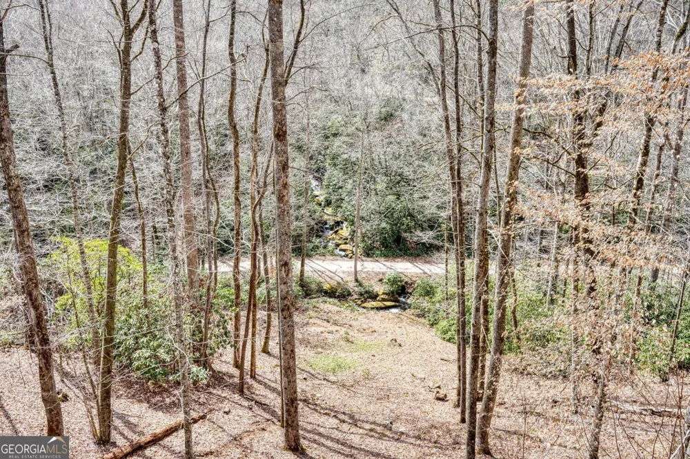 575 Carolina Springs LN Franklin, NC 28734