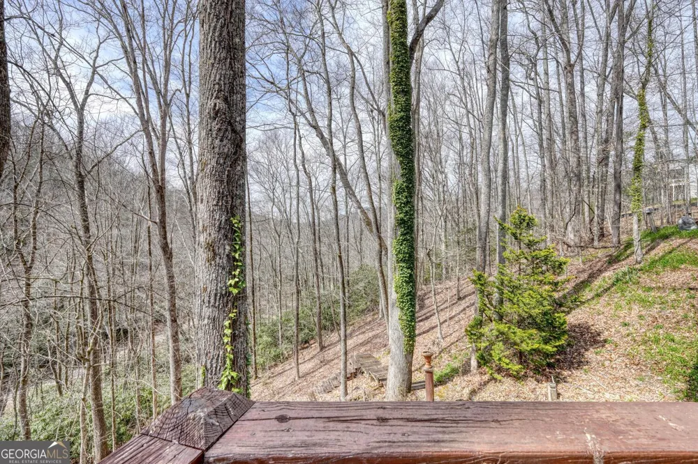 575 Carolina Springs LN Franklin, NC 28734