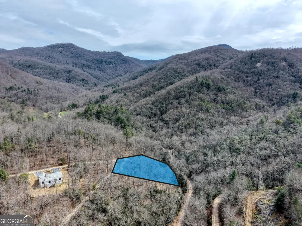 575 Carolina Springs LN Franklin, NC 28734