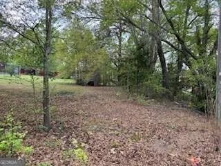 0 Spring ST Warm Springs, GA 31830