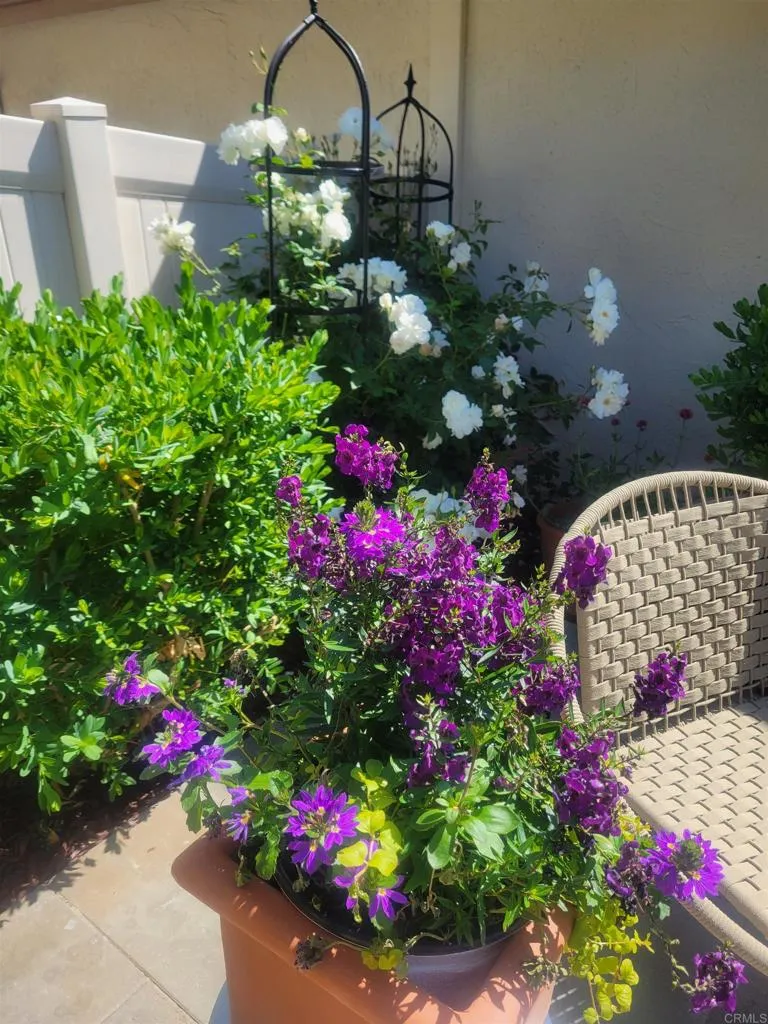 1809 Pleasantdale Drive Encinitas, CA 92024