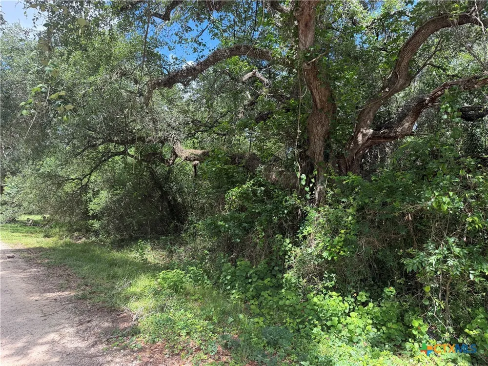 529 Grand Oak Street Palacios, TX 77465