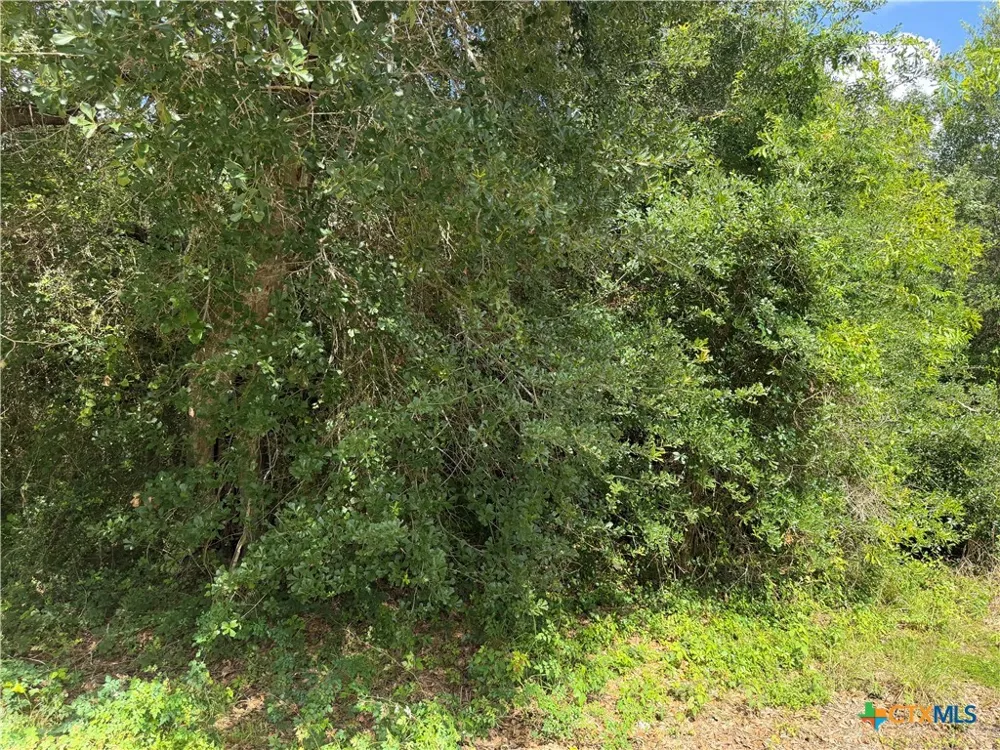 529 Grand Oak Street Palacios, TX 77465