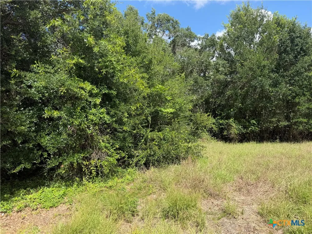 529 Grand Oak Street Palacios, TX 77465