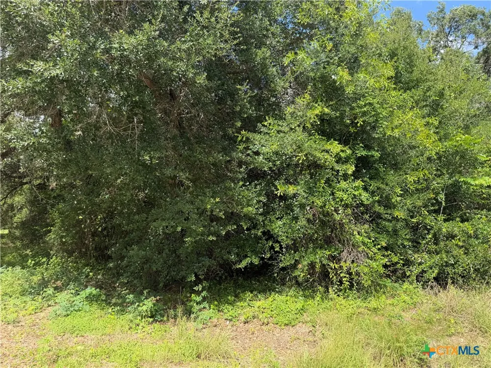 529 Grand Oak Street Palacios, TX 77465