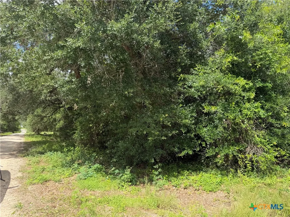 529 Grand Oak Street Palacios, TX 77465