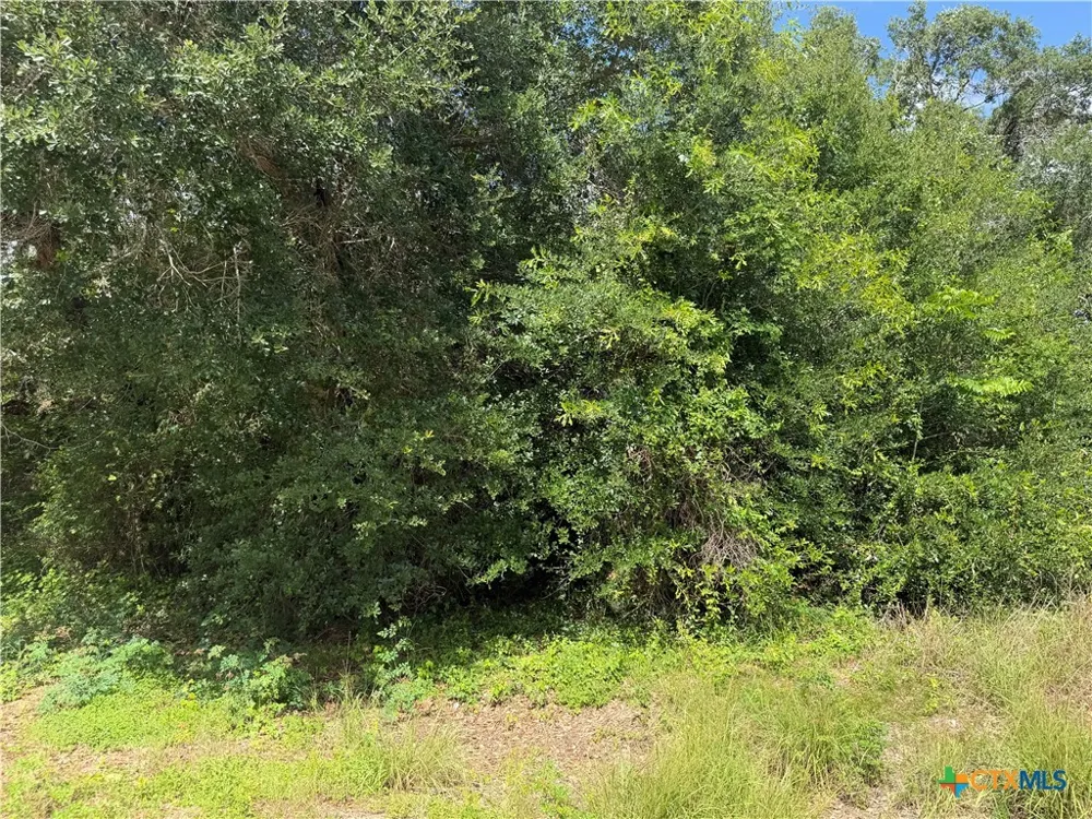 529 Grand Oak Street Palacios, TX 77465