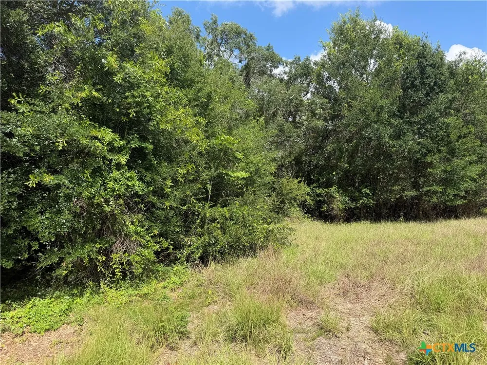 529 Grand Oak Street Palacios, TX 77465