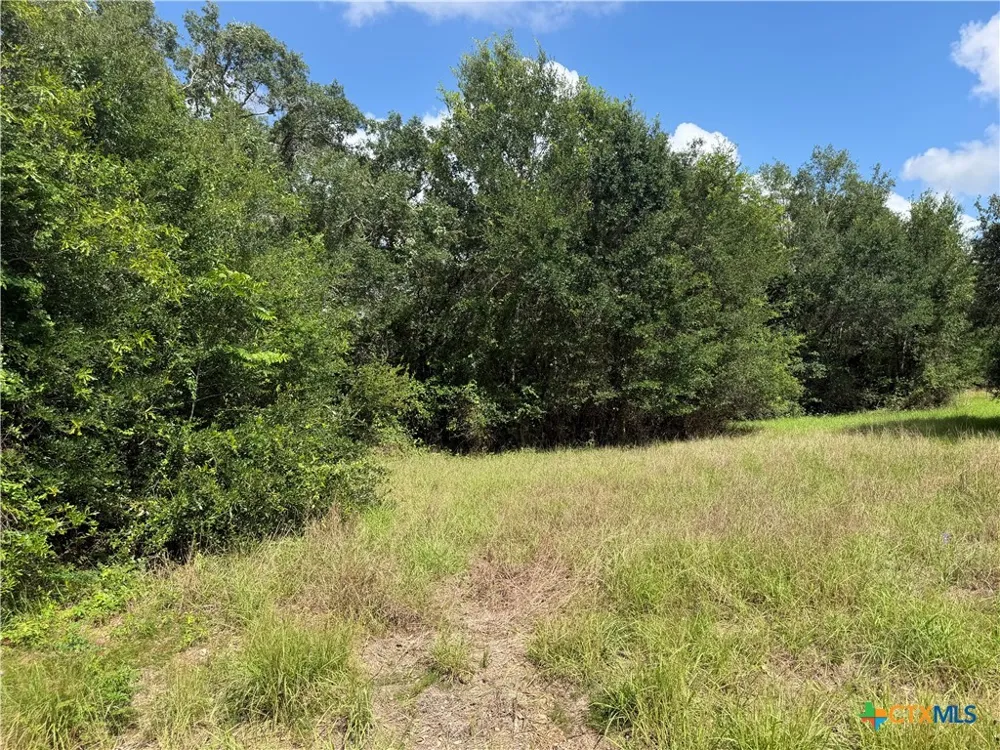 529 Grand Oak Street Palacios, TX 77465
