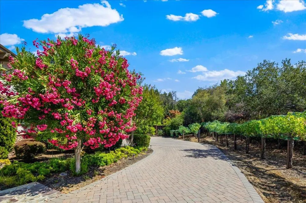 20040 Spaich Court Saratoga, CA 95070
