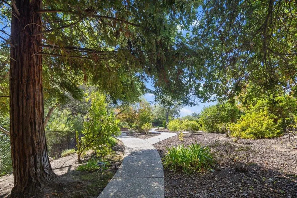 20040 Spaich Court Saratoga, CA 95070