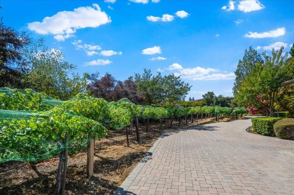 20040 Spaich Court Saratoga, CA 95070