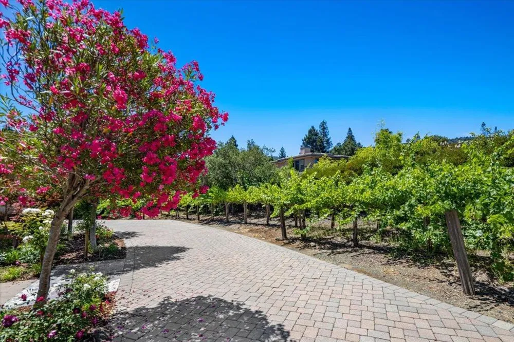 20040 Spaich Court Saratoga, CA 95070