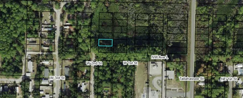 1304 W 2ND STREET Carrabelle, FL 32322