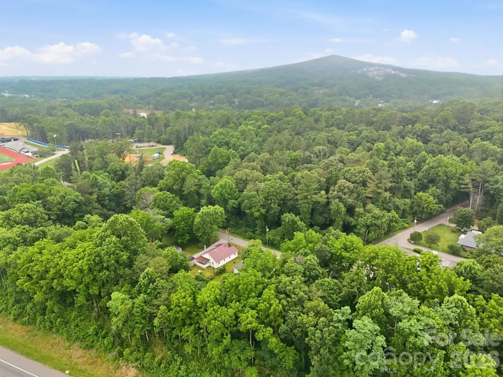 226 Vance Avenue Black Mountain, NC 28711