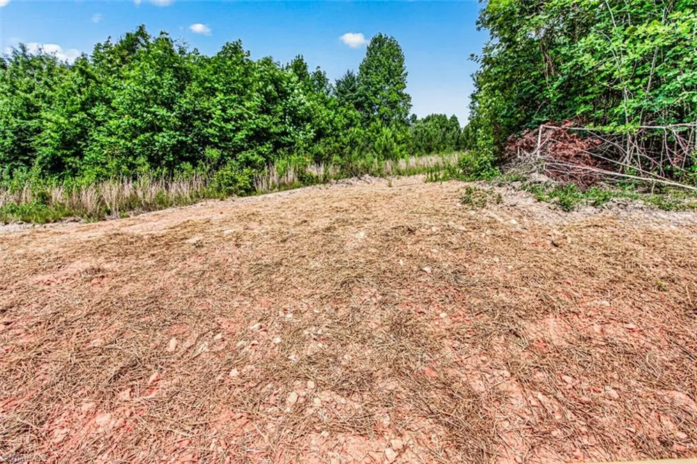 1503 Mulberry Academy Street Franklinville, NC 27248
