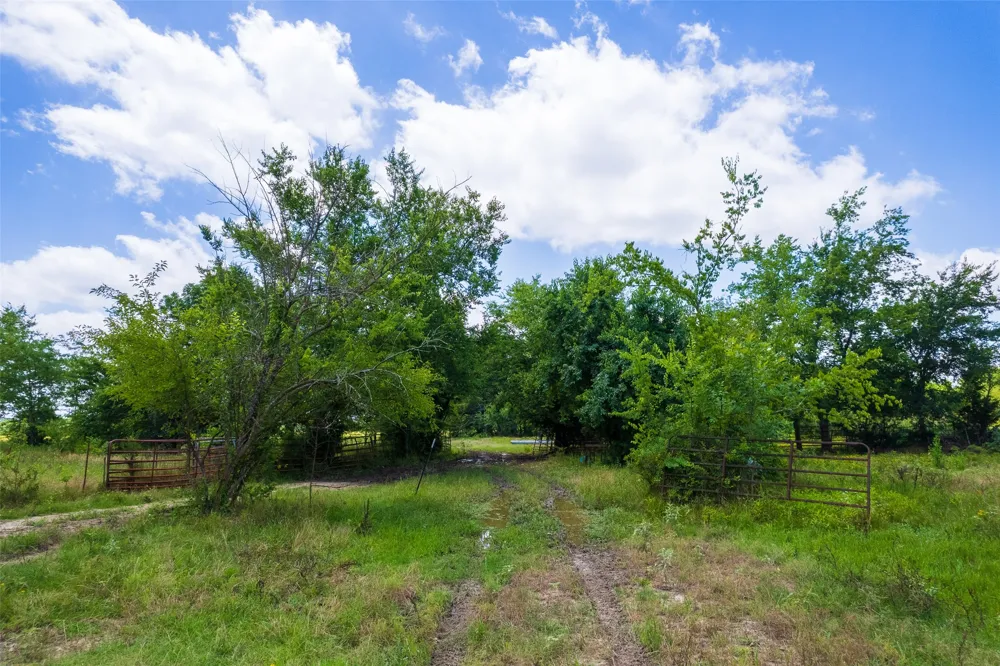 W Farm Rd 71 Talco, TX 75487
