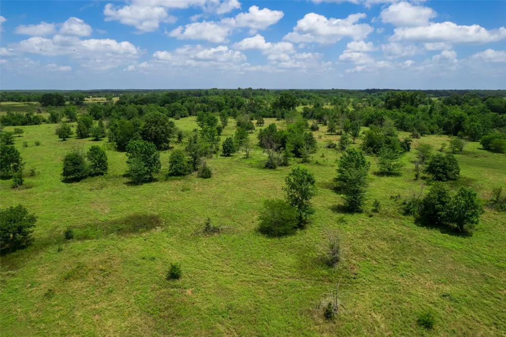W Farm Rd 71 Talco, TX 75487