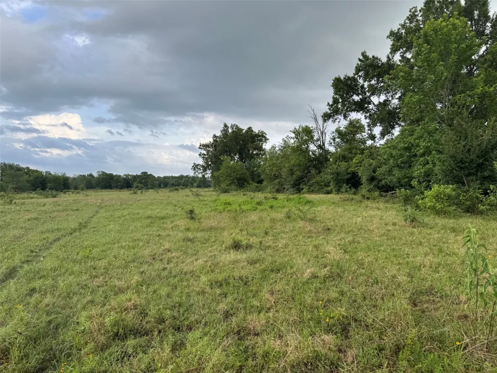 W Farm Rd 71 Talco, TX 75487
