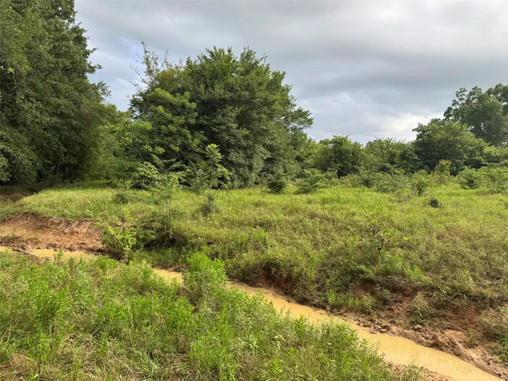 W Farm Rd 71 Talco, TX 75487