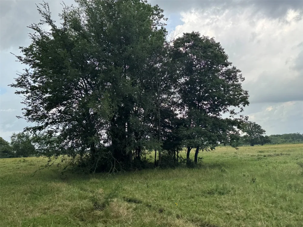 W Farm Rd 71 Talco, TX 75487