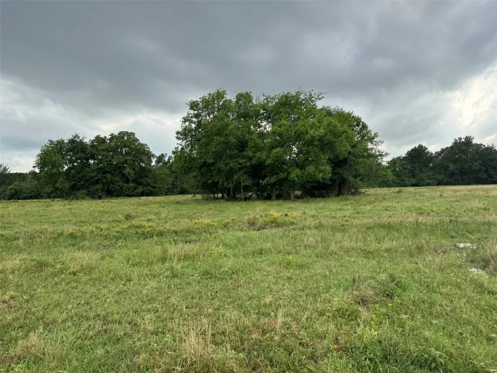 W Farm Rd 71 Talco, TX 75487