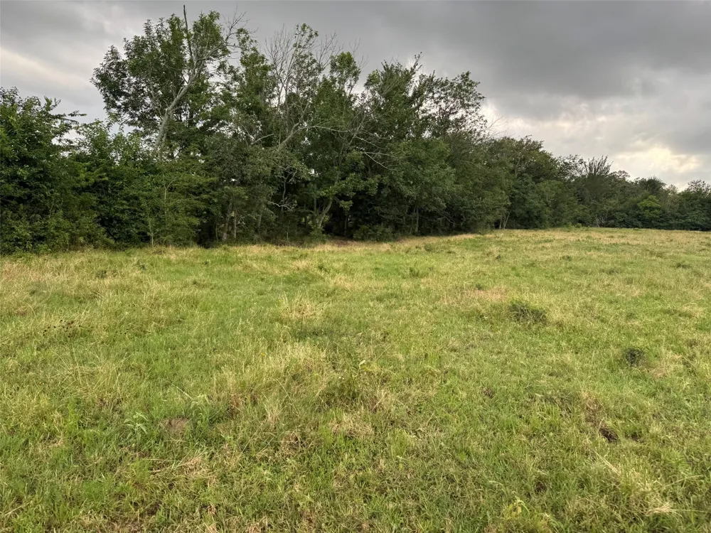 W Farm Rd 71 Talco, TX 75487