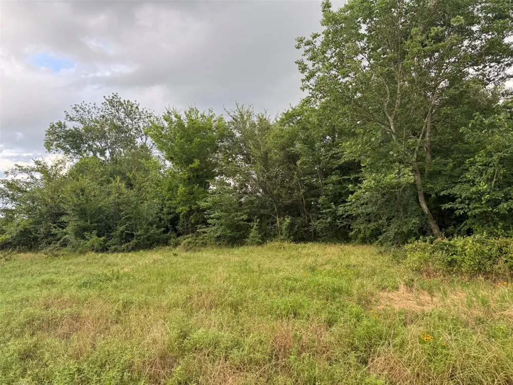 W Farm Rd 71 Talco, TX 75487