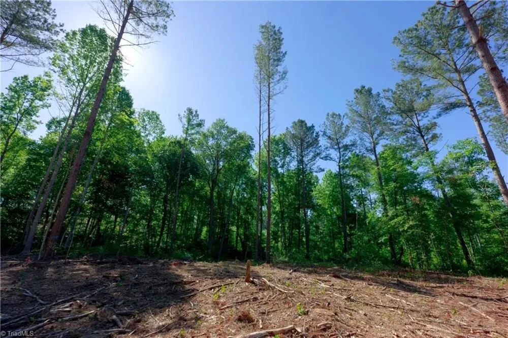 0 Carson Road Cleveland, NC 27013
