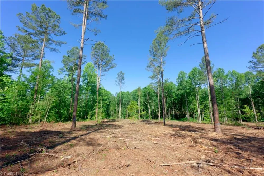 0 Carson Road Cleveland, NC 27013