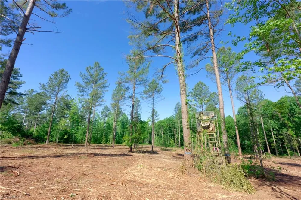 0 Carson Road Cleveland, NC 27013