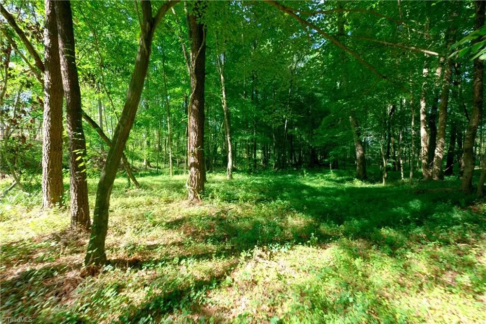 0 Carson Road Cleveland, NC 27013